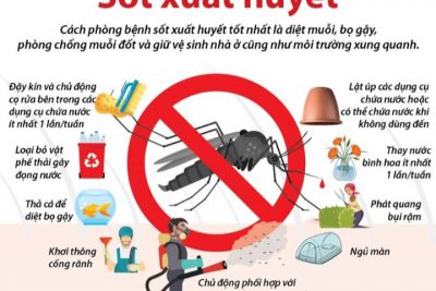 Bài tuyên truyền phòng chống bệnh Sốt xuất huyết