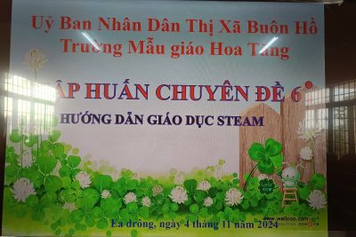 Tập huấn Chuyên đề 6: Hướng dẫn giáo dục Steam
