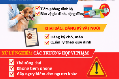BÀI TUYÊN TRUYỀN Về phòng, chống bệnh Dại và bệnh Tay chân miệng trong trường học